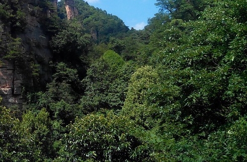 粉象生活邀请码