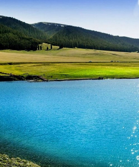 汕头粉象生活赚钱