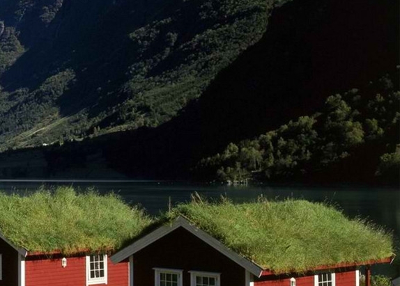 粉象生活全面省钱