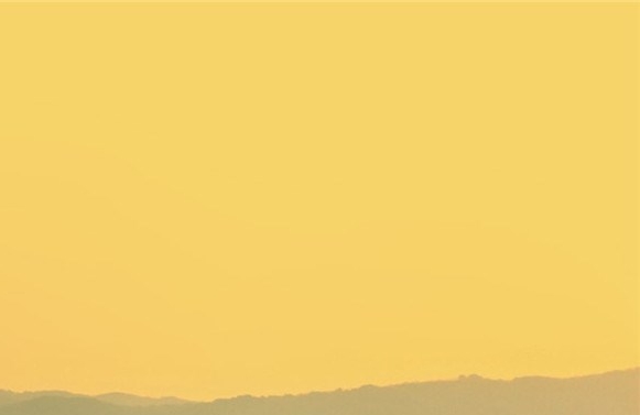 浙江粉象生活收入