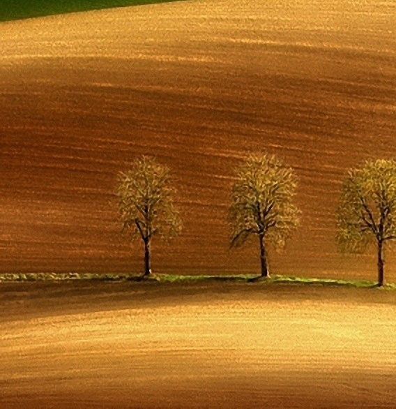 粉象生活数字邀请码怎么来