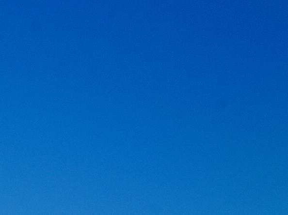 粉象邀请码351395注册