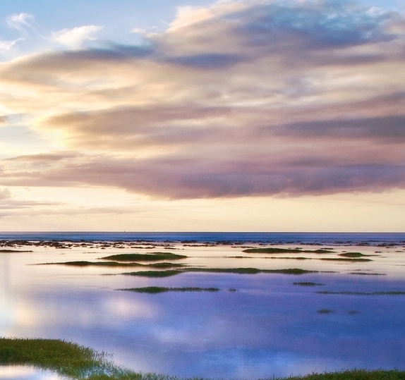粉象生活的会员怎么领