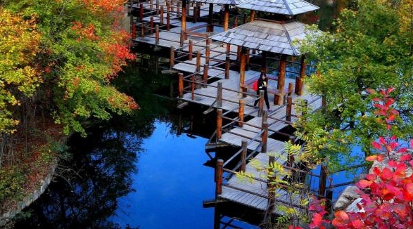 粉象生活注册商家