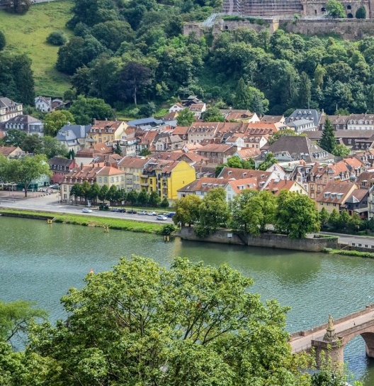 粉象生活的全称