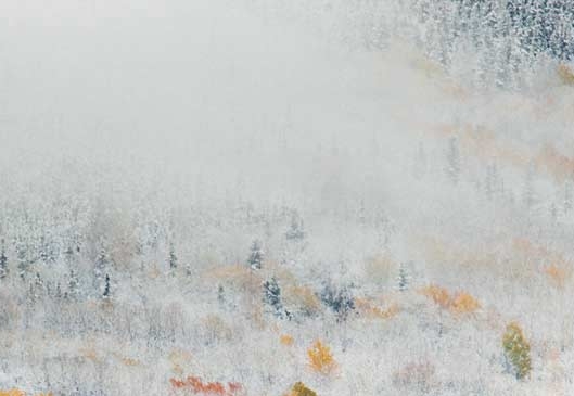 捷生活怎么开通社区