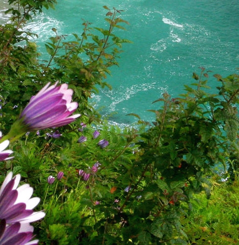 粉象生活升级后大概几天才看到收入