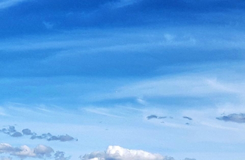 粉象生活在哪里注册信息