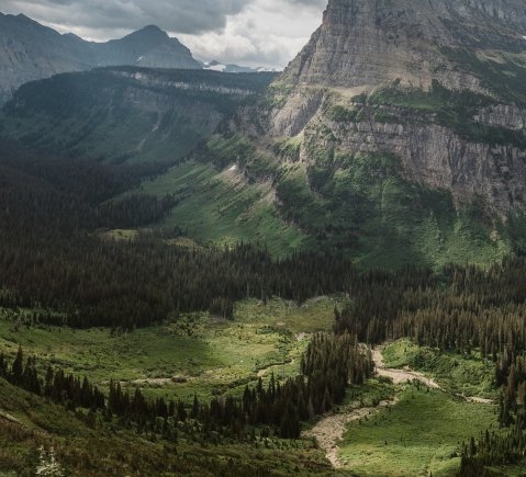 粉象生活邀请码