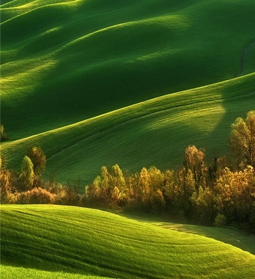 下载粉象生活能赚钱吗