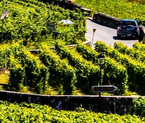 粉象生活升级vip的条件