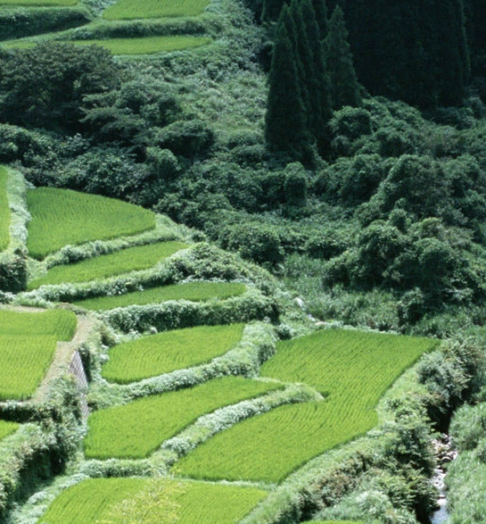 五象一站式生活购物中心