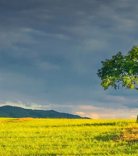 粉象生活邀请码怎么使用