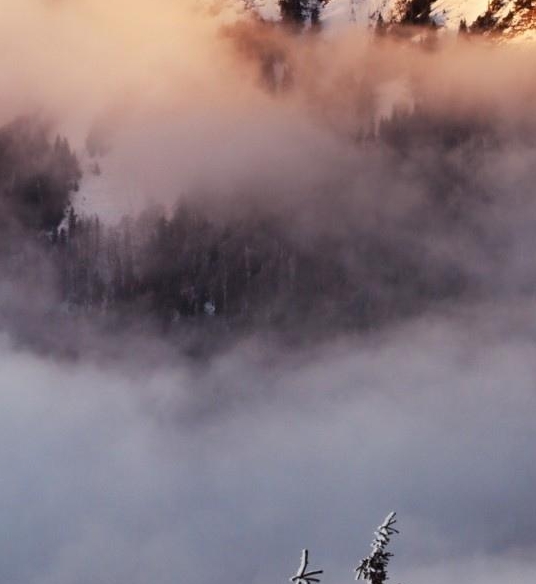 粉象生活如何取消支付