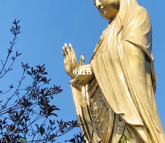 粉象生活是什么样的平台