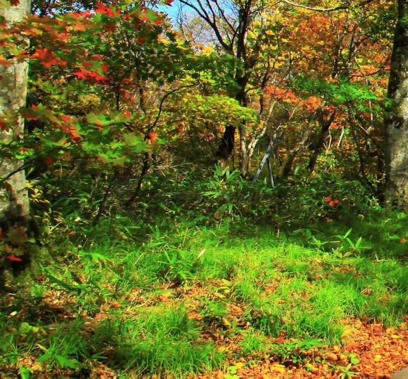 买手妈妈跟粉象哪个好