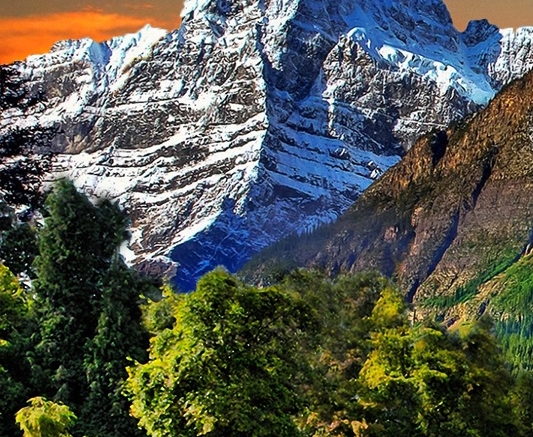 粉象生活能干嘛