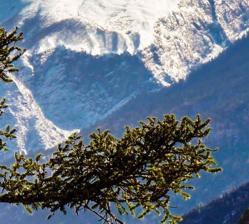 镇江粉象生活注册