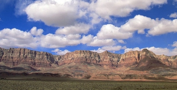 粉象生活怎么赚钱才能返现