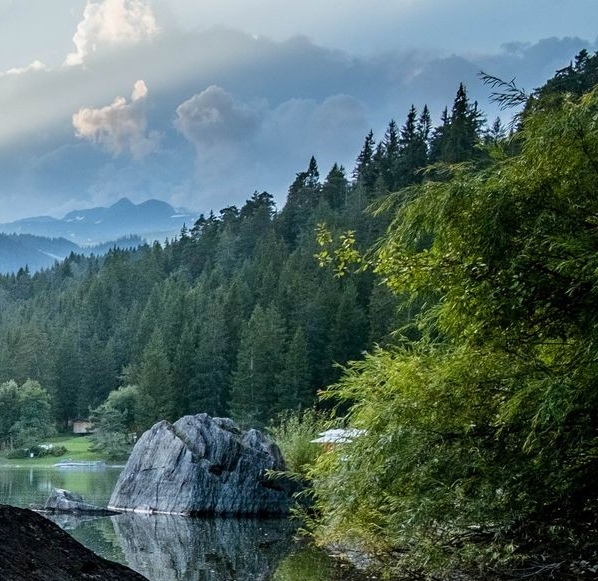 注册粉象生活有风险吗