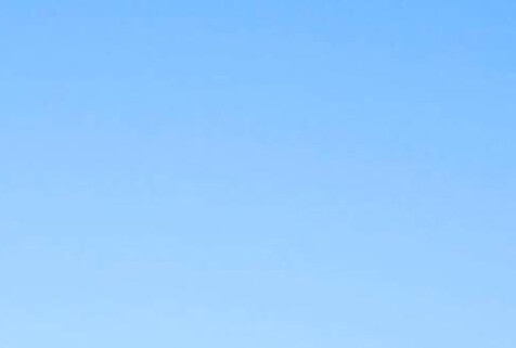 粉象生活能赚到钱吗