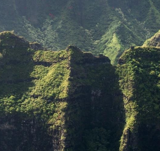 粉象生活推广真能赚钱吗