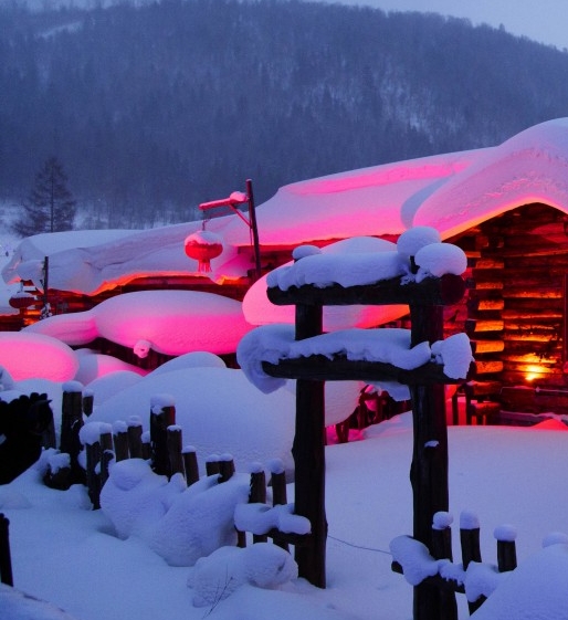 荆门粉象生活注册