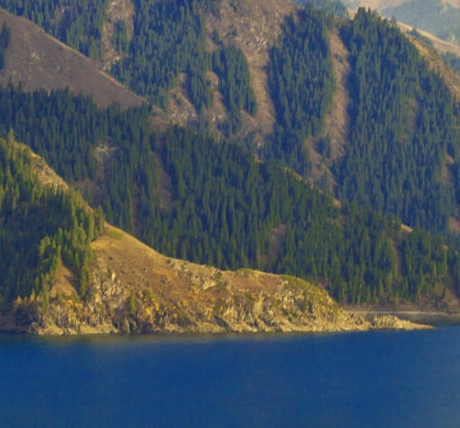 粉象生活注册有佣金吗