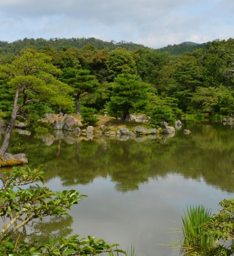 湛江粉象生活合伙人