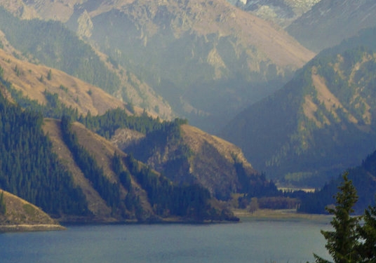 粉象生活怎么关闭自动付款