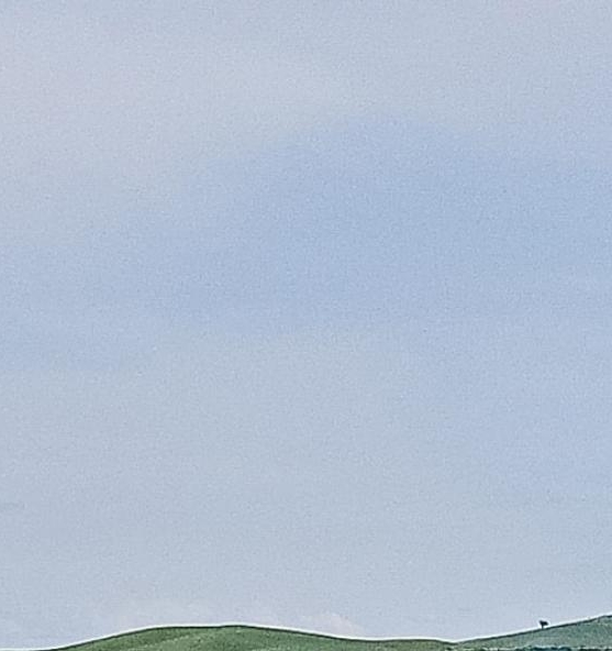 粉象生活乙码231265