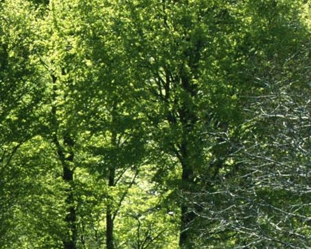 粉象生活官方收费