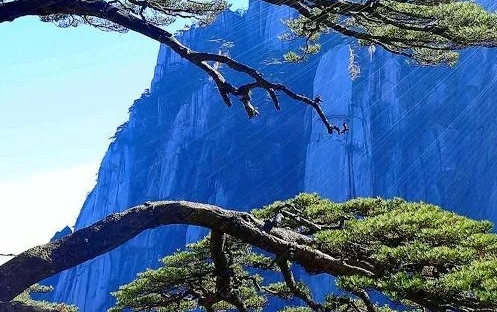 粉象生活粉丝怎么增加