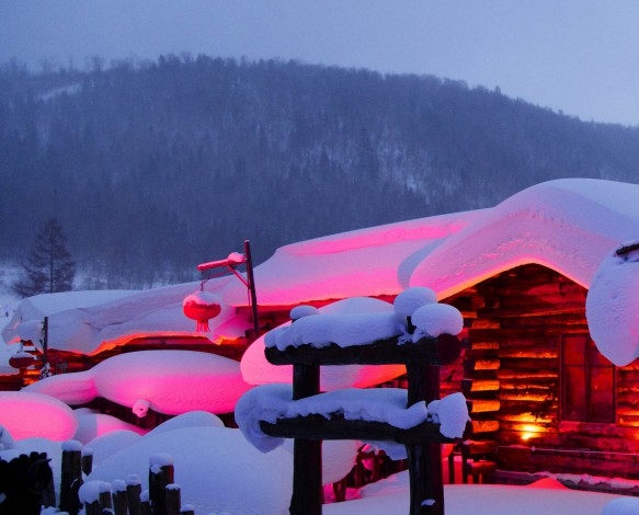 粉象生活粉丝怎么增加