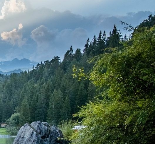 粉象生活获千万