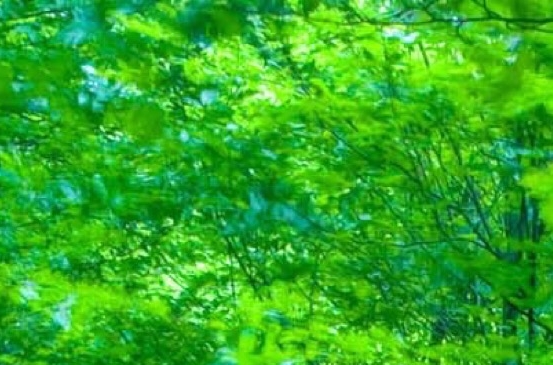 粉象生活新手怎么做