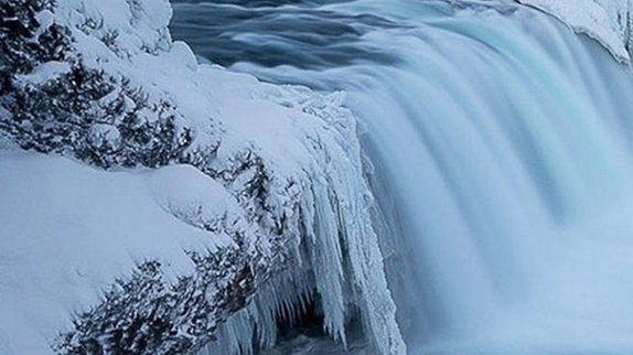 粉象生活小建团队邀请码