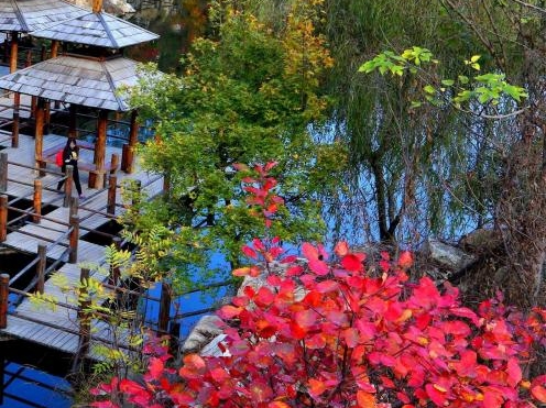 粉象生活有人开店吗