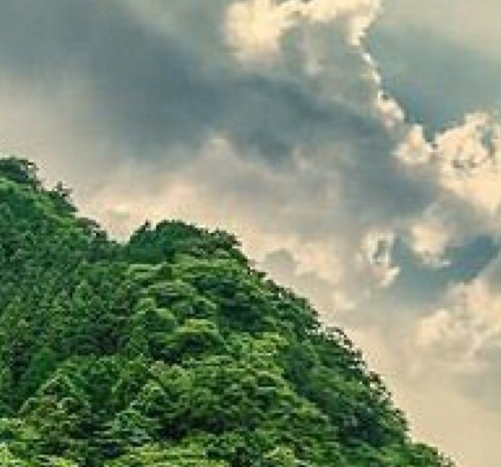 粉象生活app