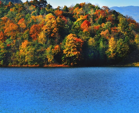 辽宁一站式粉象生活官网
