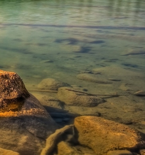 粉象生活好友邀请码怎么弄