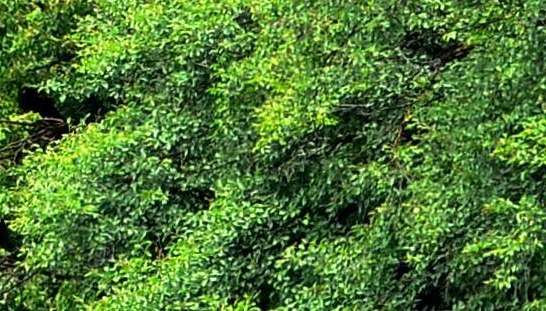 粉象生活拉不到人能赚佣金吗