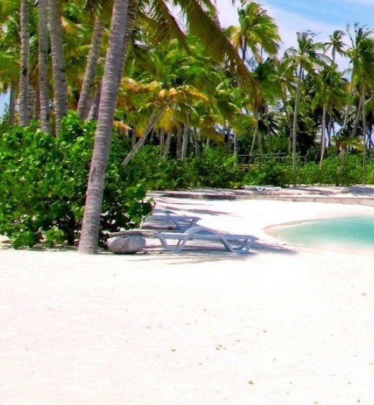 粉象生活邀请码