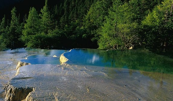 粉象生活淘宝怎么登录不了