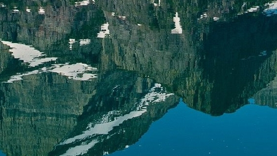 粉象生活581981