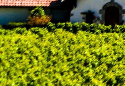 粉象生活-邀请码798661靠谱