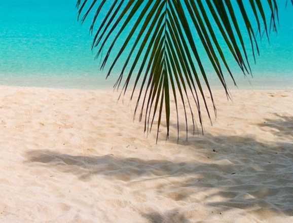 粉象生活怎么抢秒杀的东西