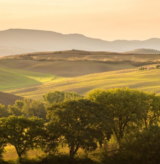 眉山粉象生活入驻