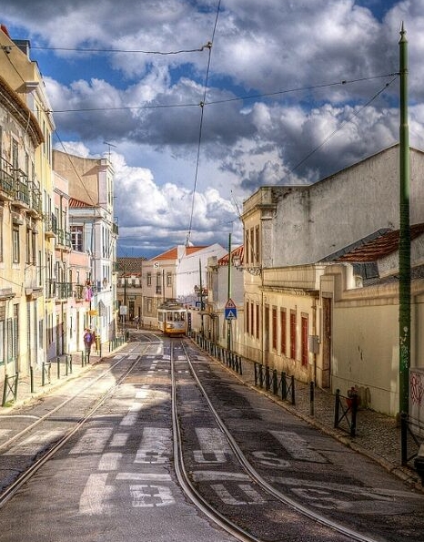 粉象生活必须要买会员吗