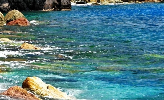 粉象生活不能买东西吗